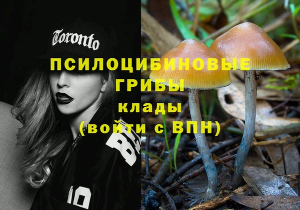 трава Нефтегорск