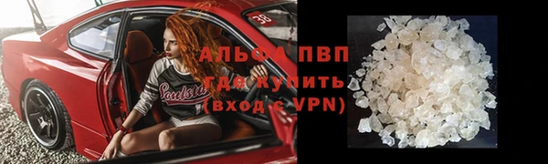 ГАЛЛЮЦИНОГЕННЫЕ ГРИБЫ Аркадак