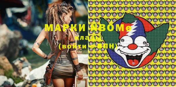 ГАЛЛЮЦИНОГЕННЫЕ ГРИБЫ Аркадак