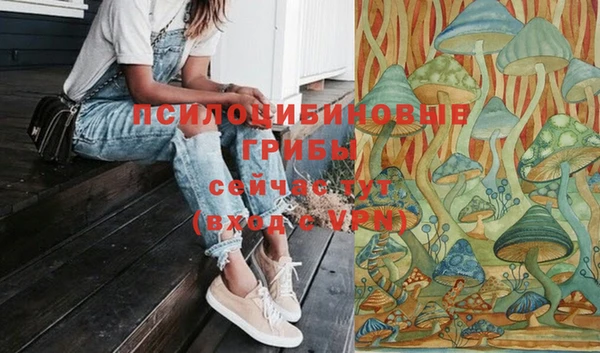 ГАЛЛЮЦИНОГЕННЫЕ ГРИБЫ Аркадак