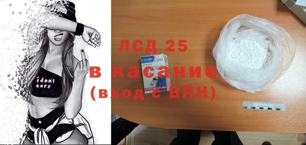 ГАЛЛЮЦИНОГЕННЫЕ ГРИБЫ Аркадак